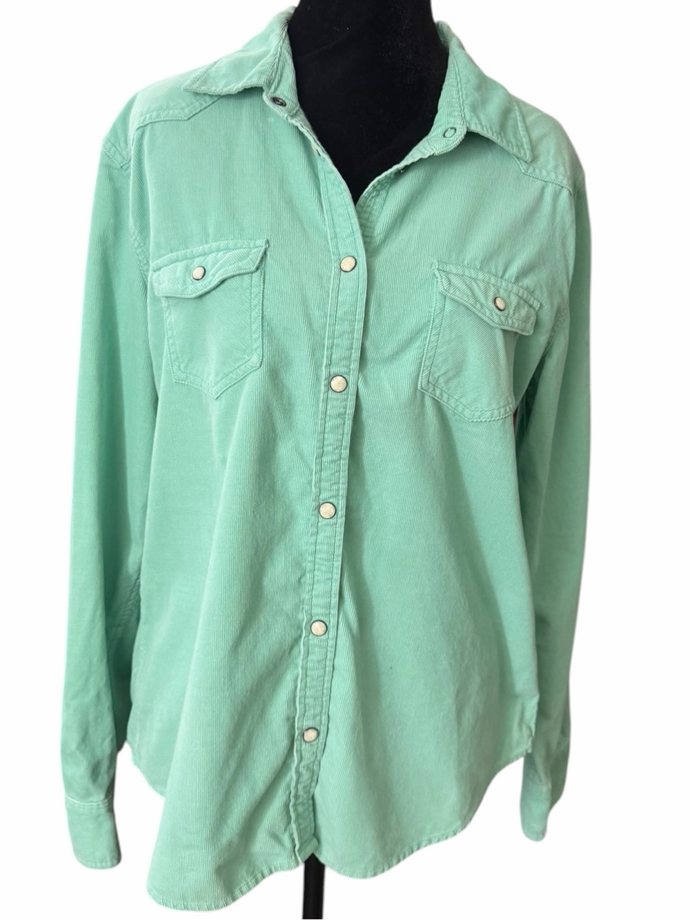 Women's American Eagle Outfitters Corduroy Button Down Shirt, Size L, Green